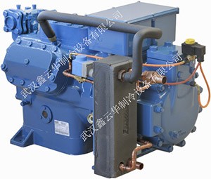 宜昌新型雙級內(nèi)置活塞機(jī)