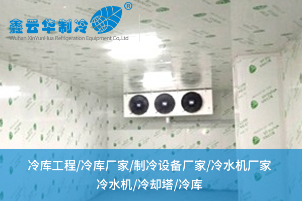 內(nèi)江超市冷庫(kù)搭建怕踩雷？從選材到布局的“保鮮法則”全在這兒！